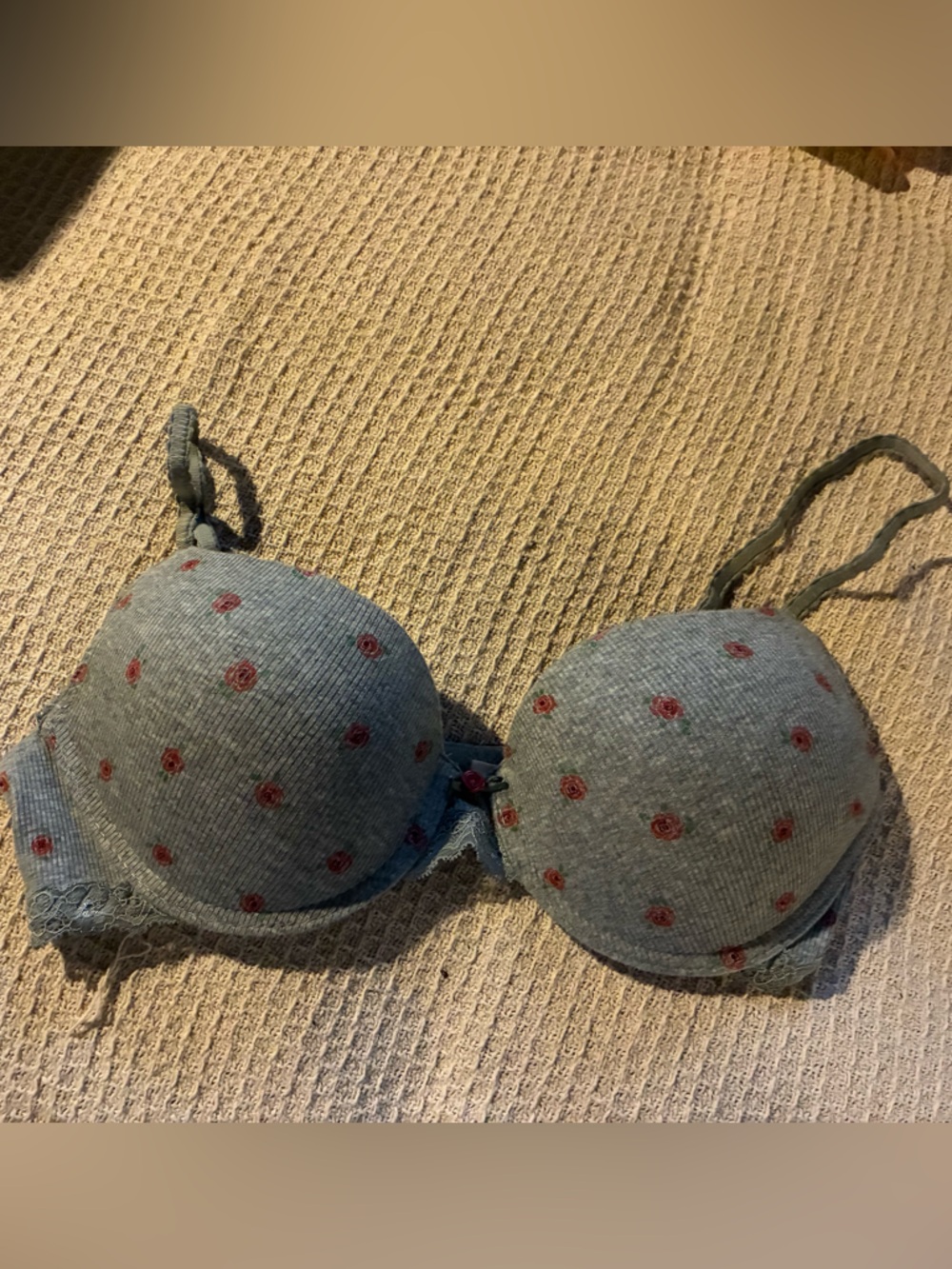 Laura Ashley Gray T-shirt Bra with Tiny Rose/lace Accents